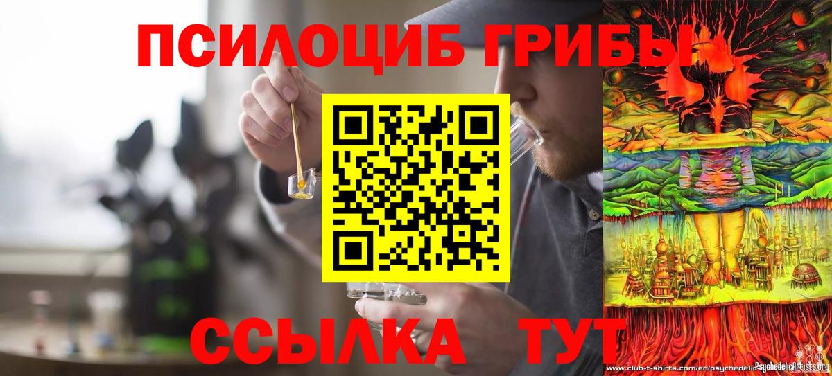 Галлюциногенные грибы прущие грибы Новошахтинск
